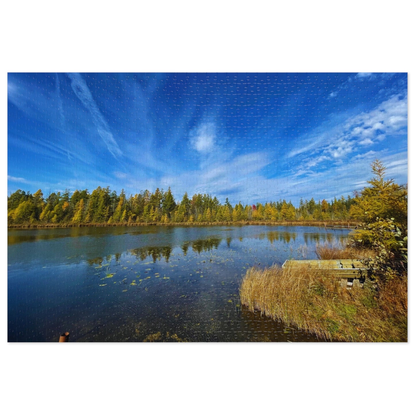 Island Lake Boat Dock